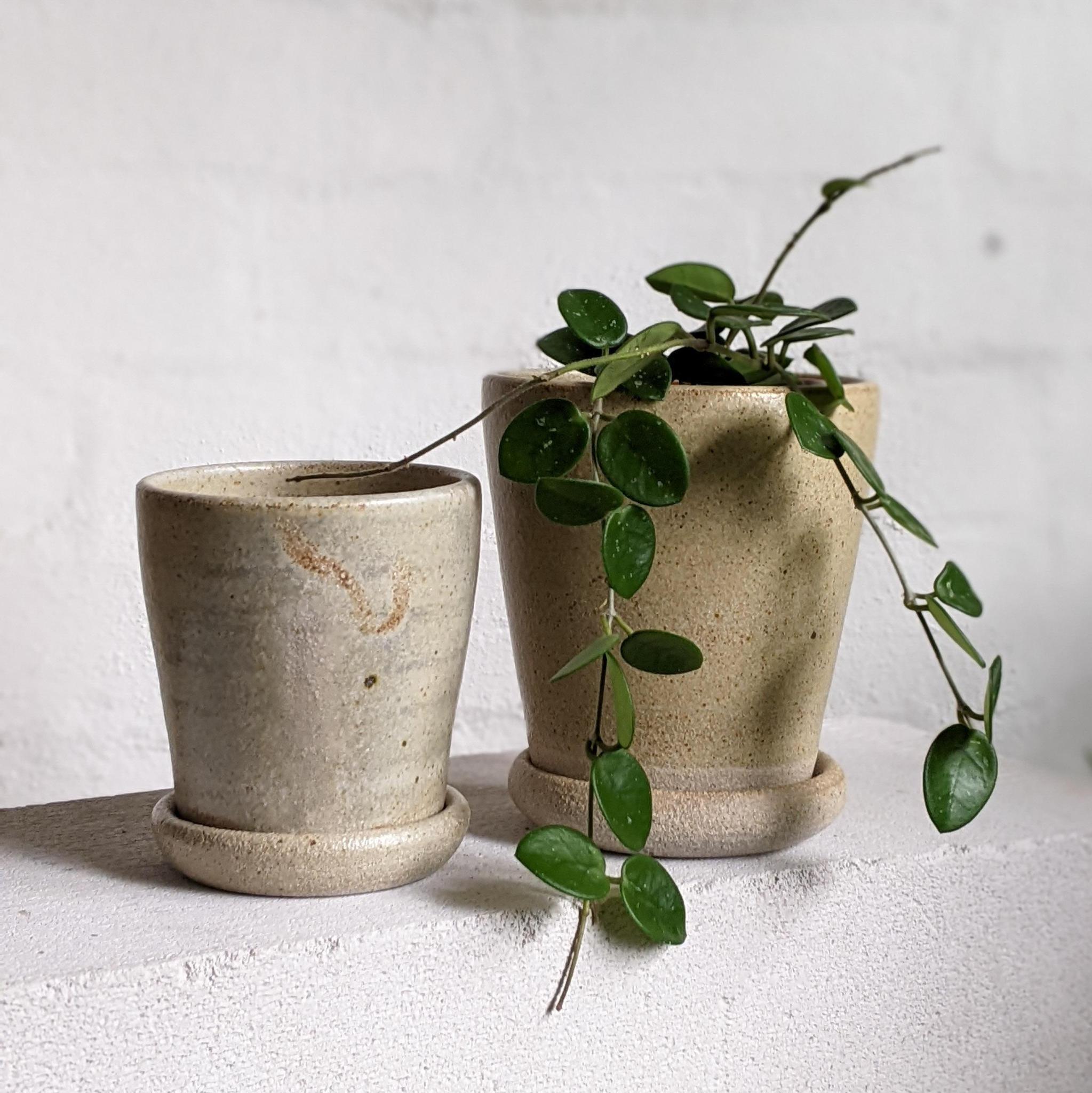 Stony Stripe Wood Fired Planters by Sandra Bowkett I 植木鉢 I