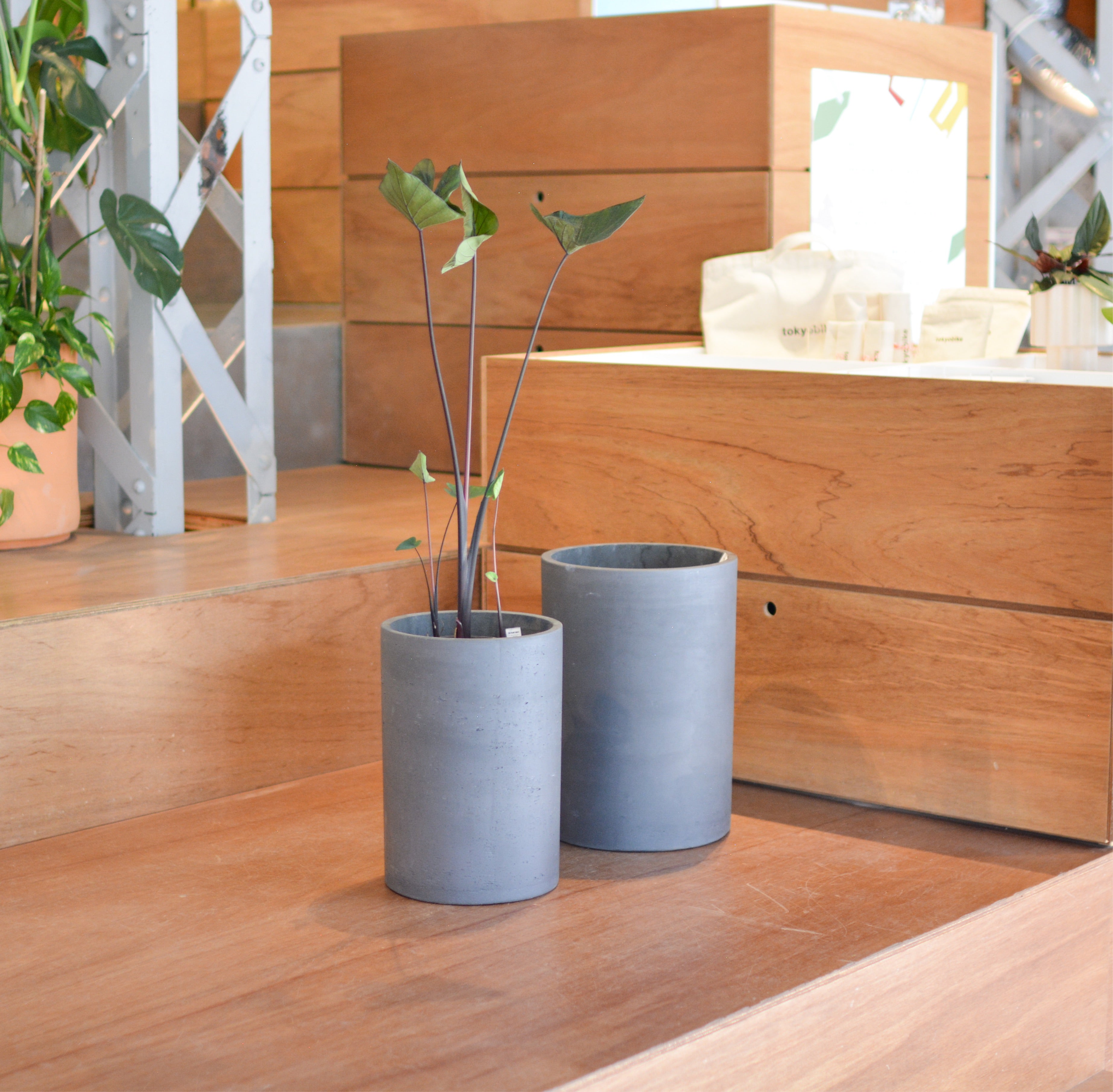 Tall Tub Planter トールタブプランター