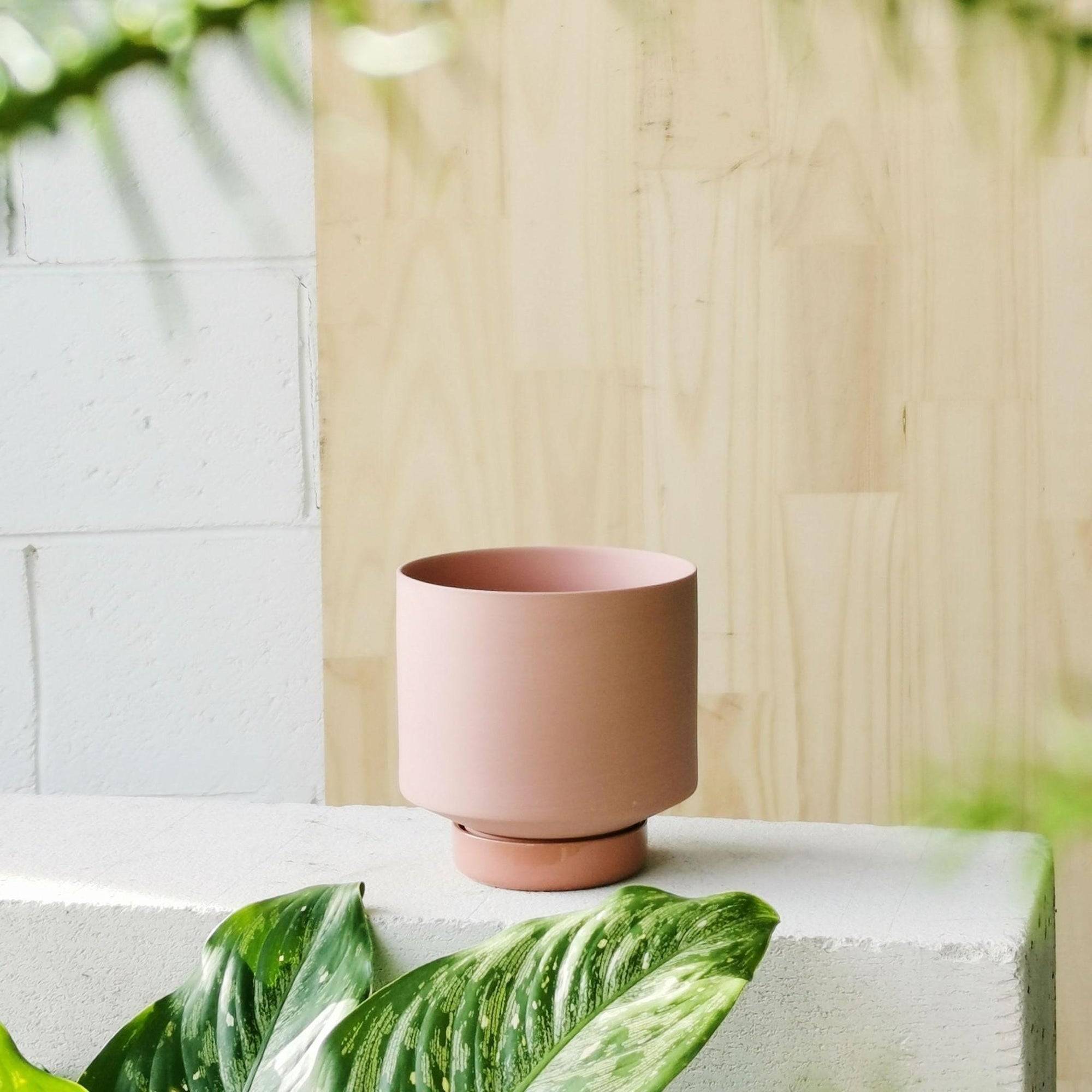 Ochre Collectors Gro Pot by Angus & Celeste - THE PLANT SOCIETY