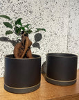 Hasami Porcelain Planter Medium ハサミプランター M