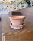 Amalfi Terracotta Planter アマルフィ テラコッタプランター