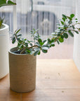 Tall Tub Planter トールタブプランター