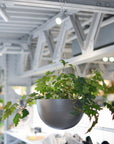 Round Hanging Planter ラウンドハンギングプランター