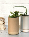 hasami planter small natural and white with plants