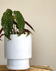 ミディ ロータワー プランター by The Plant Society x Capra Designs- Totem Collection -