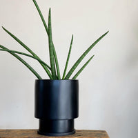 Midi Low Tower プランター by The Plant Society x Capra Designs I 