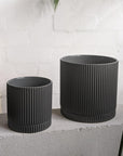 Eyre Planter by The Plant Society エアープランター