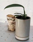 hasami planter small white with plant