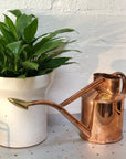 Copper Watering Can Haws homewares gardening plant care planter peace lily spathiphyllum