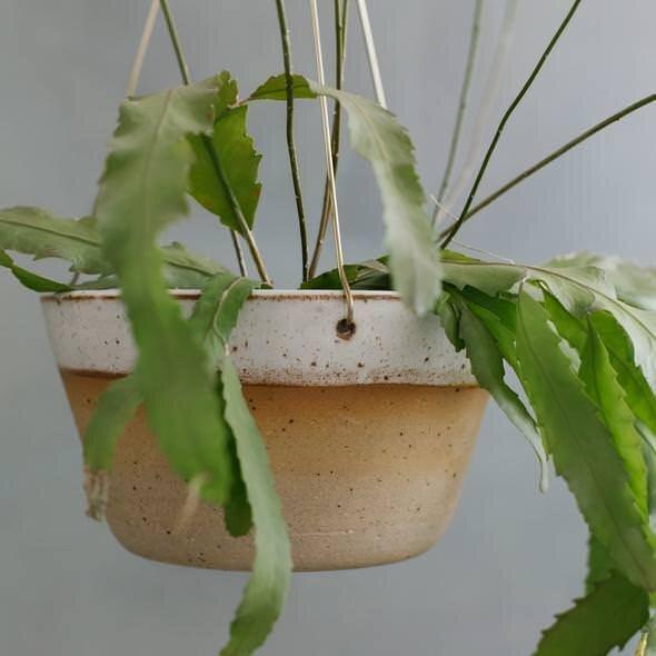 Desert Brass Hanging Planter by Leaf &amp; Thread