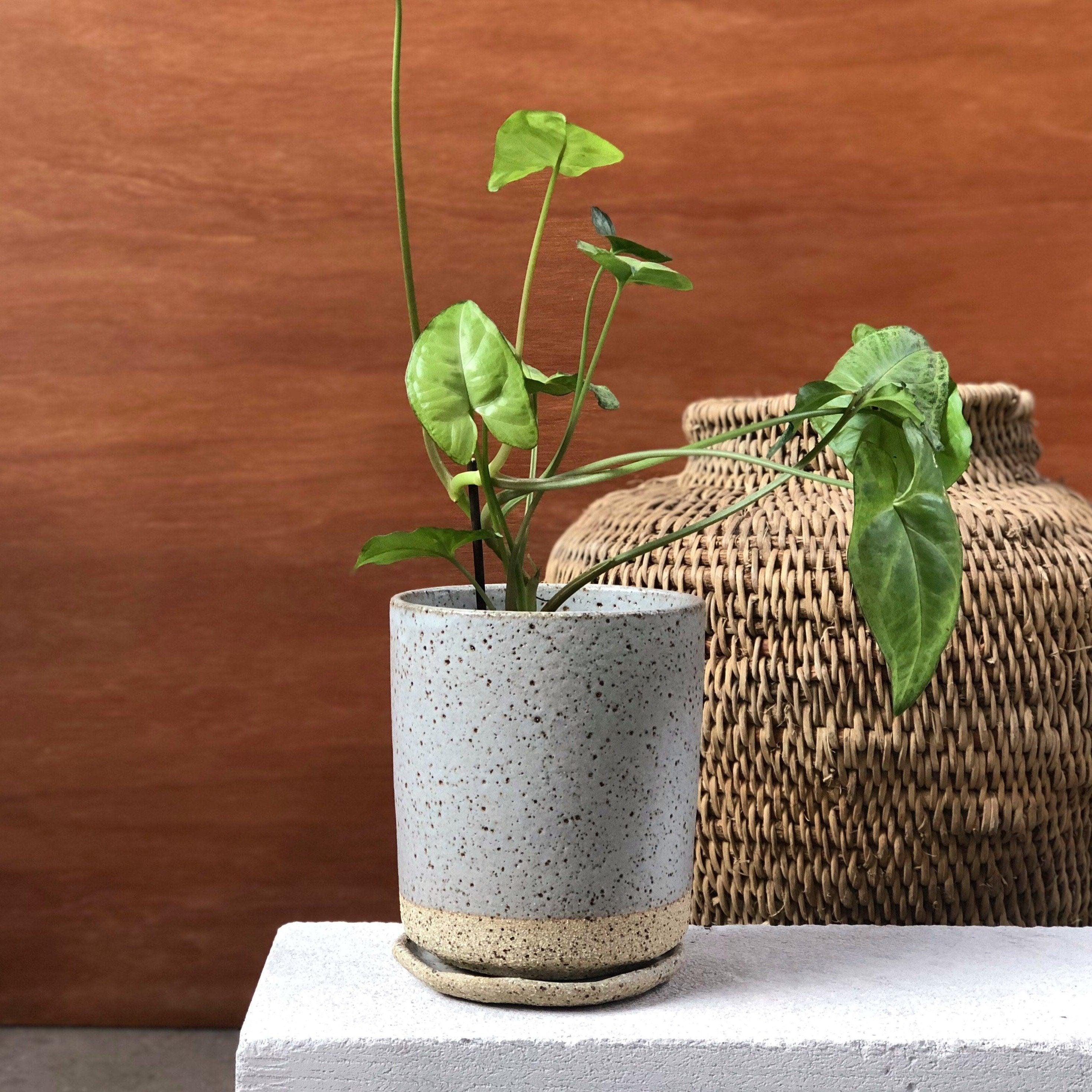 Grey トールプランター by Lisa Peri I 植木鉢 I プラントソサエティトーキョーオンライン – THE PLANT SOCIETY  TOKYO