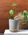 Grey Tall Planter by Lisa Peri