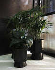 Large Palm Springs Planter Black by Lightly Design