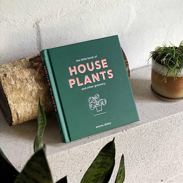 Little Book of House Plants and Other Greenery [書籍]
