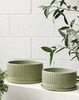 Sage Fluted Planter by Arcadia Scott  セージ フルーテッド プランター