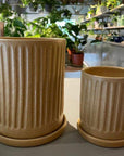 Wheat Fluted Planter by Arcadia Scott ウィート フルーテッド プランター