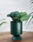 Palm Springs Planter Small by Lightly パームスプリングスプランタースモール