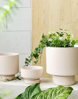 Soft Pink Collectors Gro Pot by Angus & Celeste　コレクターズグロウポット ペールピンク