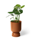 ゴブレットプランター Goblet Planter By Lightly