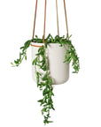 Hanging Planter by Lightly ハンギングプランター